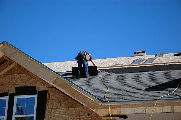 Best Roof Coating and Sealing  in Lindstrom, MN