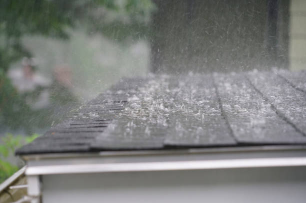 Best Rubber Roofing (EPDM, TPO)  in Lindstrom, MN