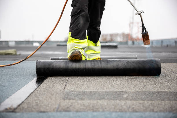 Best Roof Maintenance and Cleaning  in Lindstrom, MN