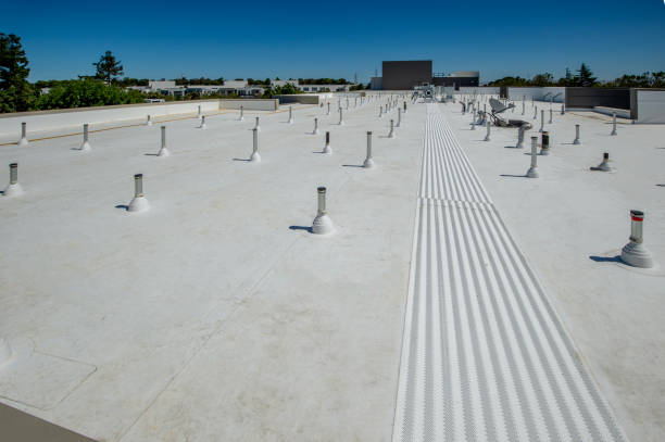 Best Gutter Installation and Repair  in Lindstrom, MN